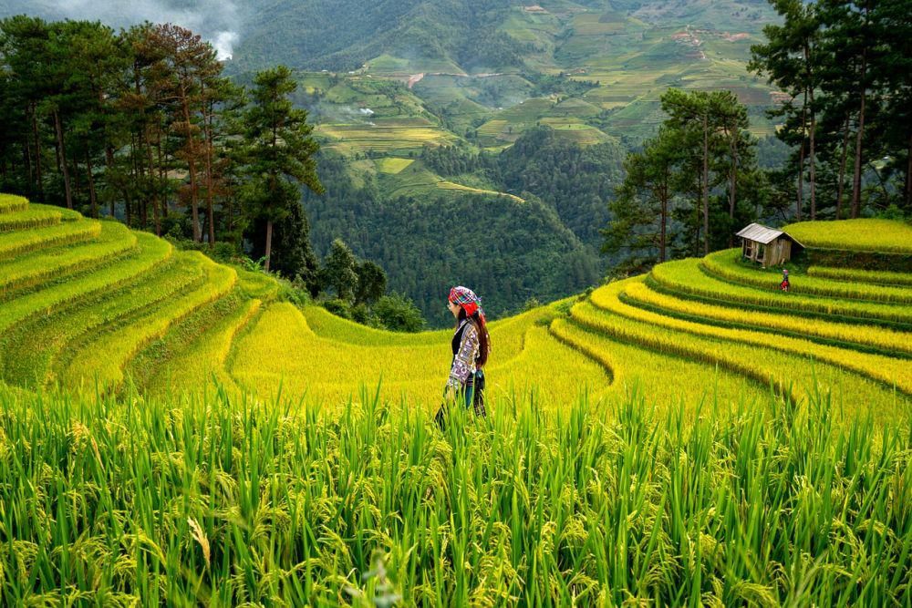 Perbedaan Lembah dan Bukit yang Perlu Kamu Tahu