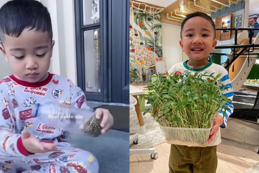 7 Potret Kocak Cipung Niat Tanam Taoge Malah Tumbuh Daun Kacang Hijau