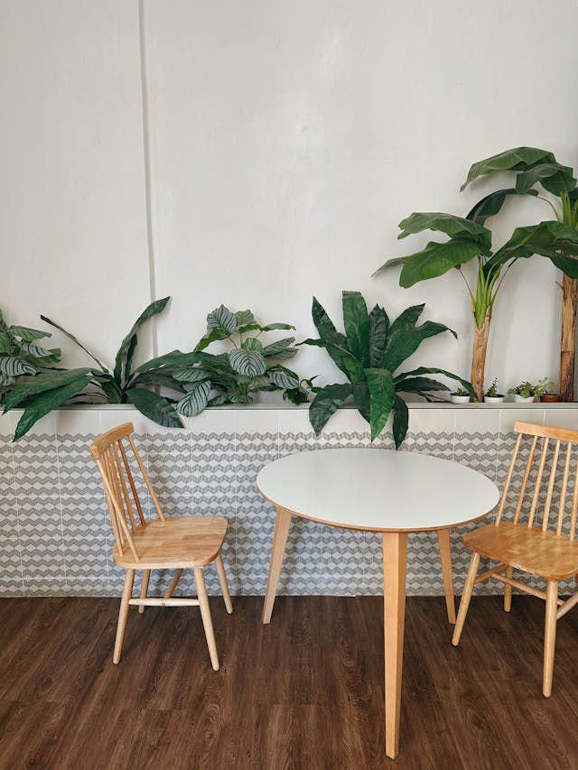 ilustrasi tempat makan dan daun (pexels.com/Lara Farber)