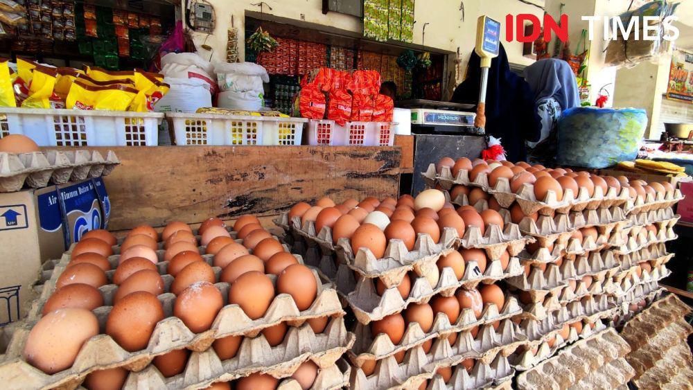 Lampung Produksi 25 Ribu Ton Telur, Ini 5 Daerah Penyumbang Terbesar