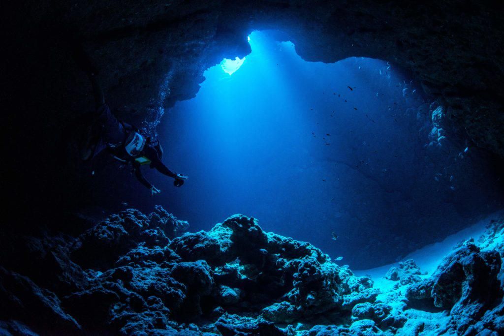 Dunia Bawah Laut Lebih Gila dari yang Kamu Kira! Ini 5 Faktanya