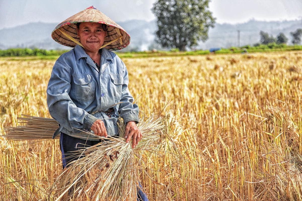 Harga Komoditas Unggul Lesu, Nilai Tukar Petani di Sumsel Turun