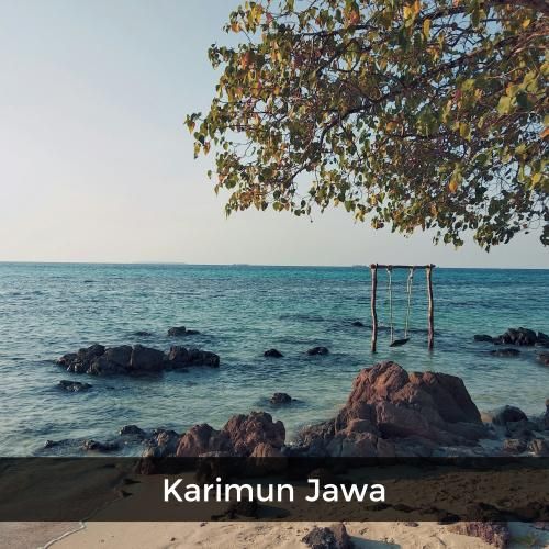 https://unsplash.com/photos/green-trees-on-seashore-6Cfou4jo1aE