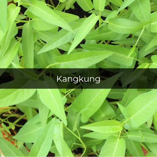 Potret kangkung segar (pixabay.com/paresh85)