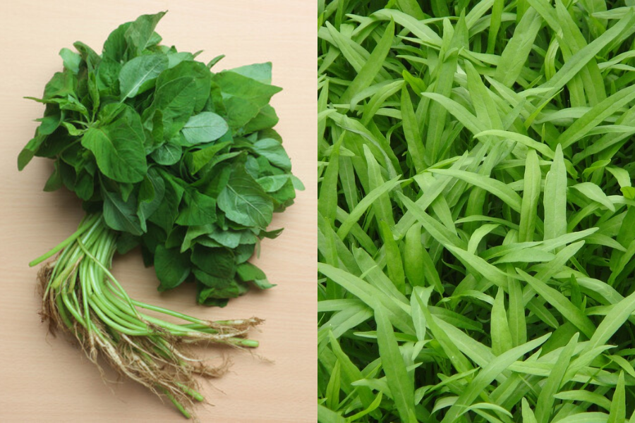 [QUIZ] Pilih Bayam atau Kangkung, Kamu Cocoknya Masak Ini untuk Makan Siang