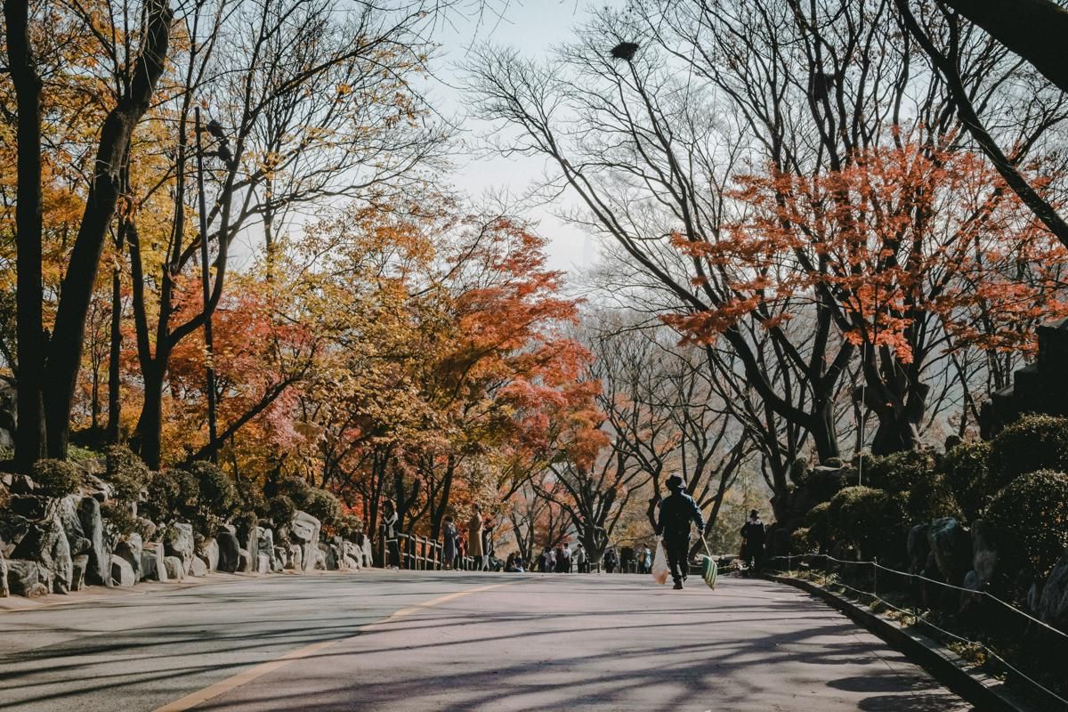 5 Gunung Terindah di Korea yang Jadi Favorit Wisatawan