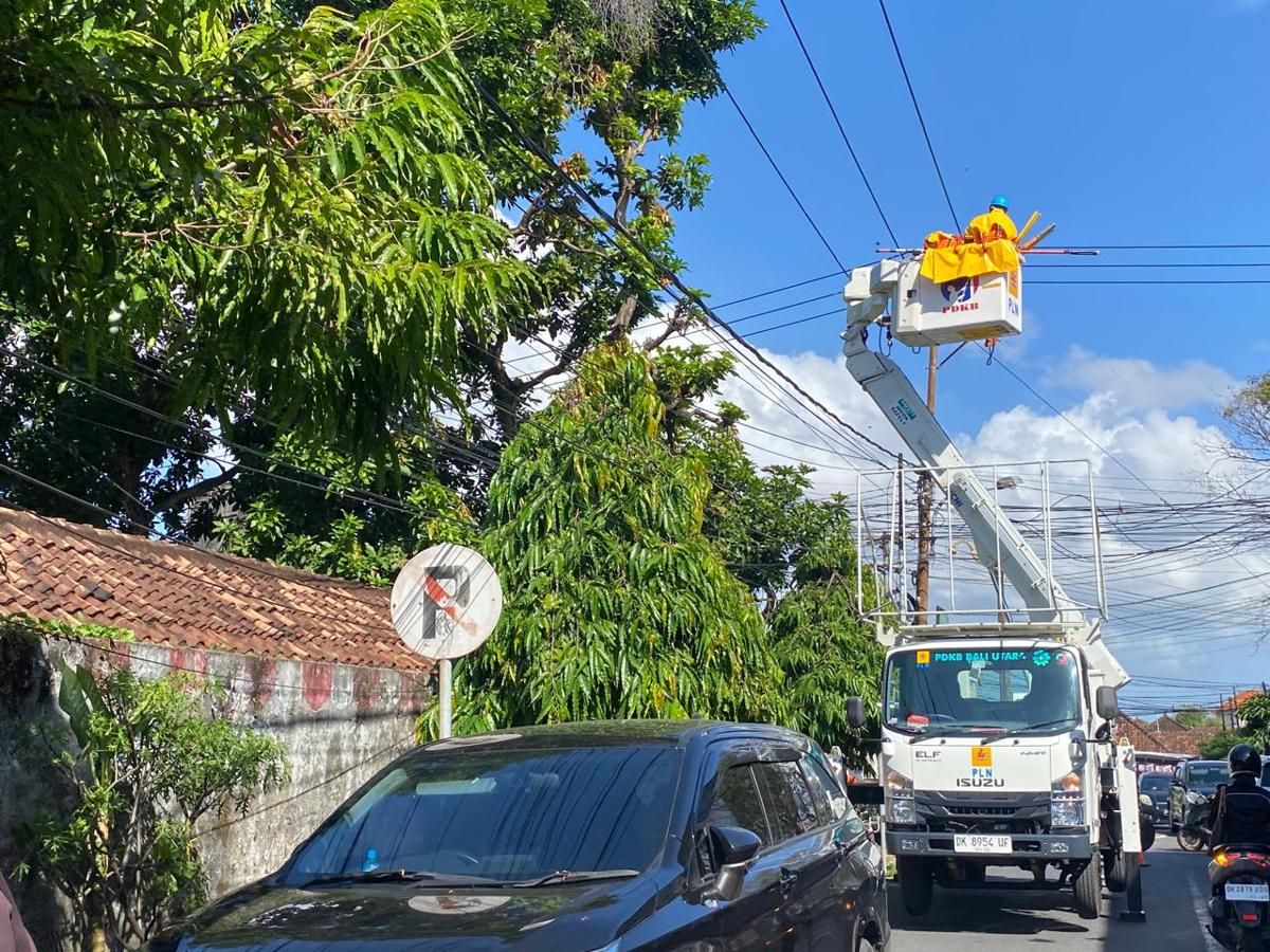 Cek Jadwal Pemadaman Listrik di Jogja Hari Ini 24-26 Juni 2025, Ada Lokasimu?