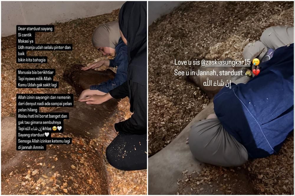 Cerita Zaskia Sungkar dan Keluarga Kehilangan Kuda Kesayangan, Sedih!