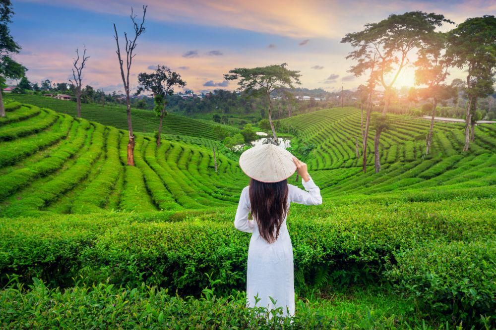 12 Tempat Wisata Pangalengan Paling Populer untuk Liburan Akhir Pekan