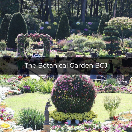 Potret The Botanical Garden BCJ di Korea Selatan