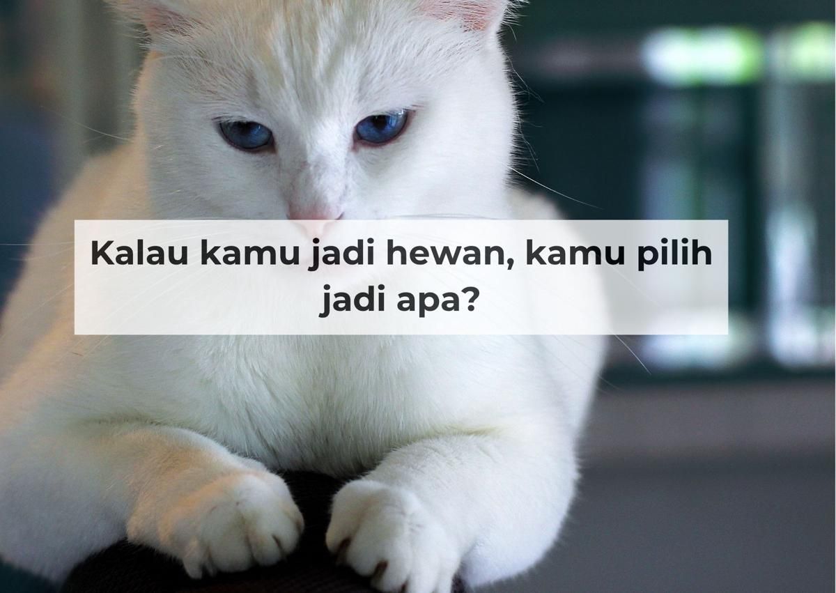 QNA FREQ 22jun (2).jpg