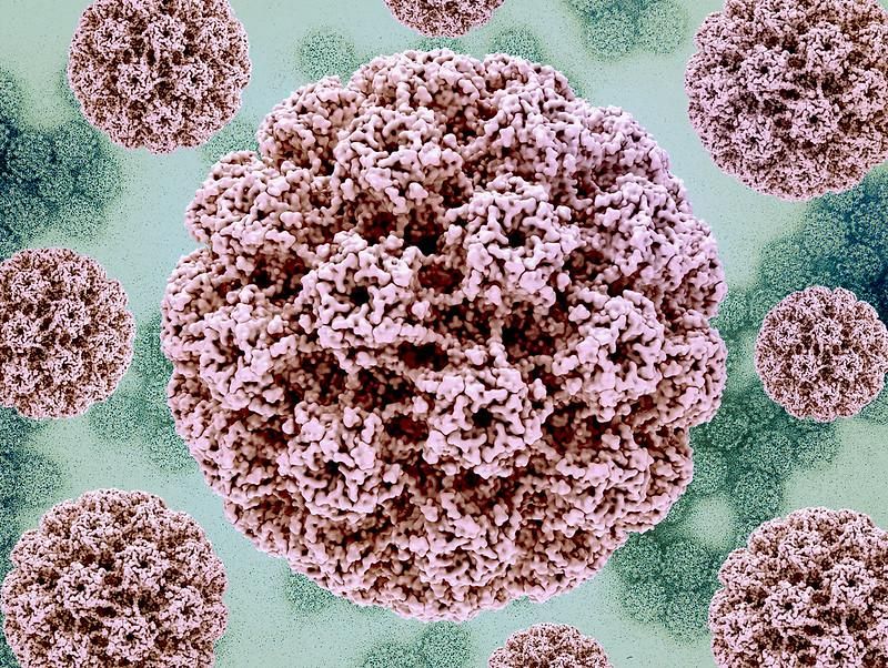 Mengapa HPV Bisa Hilang Sendiri Tanpa Pengobatan?