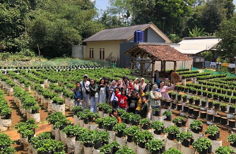 Gak Perlu ke Lembang, Wisata Petik Stroberi Juga Ada di Sukabumi!