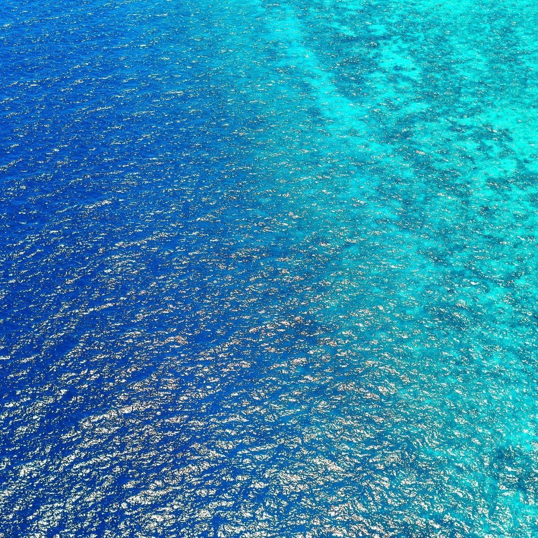 68.jpg
