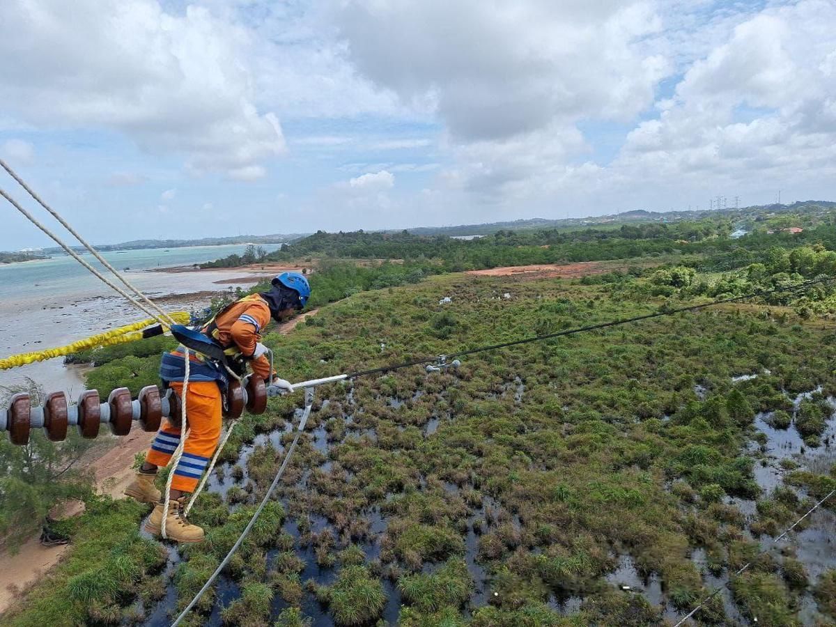 Ekspansi PLN Ke Pembangkit Listrik Gas Berisiko Bebani Negara hingga US$60 M