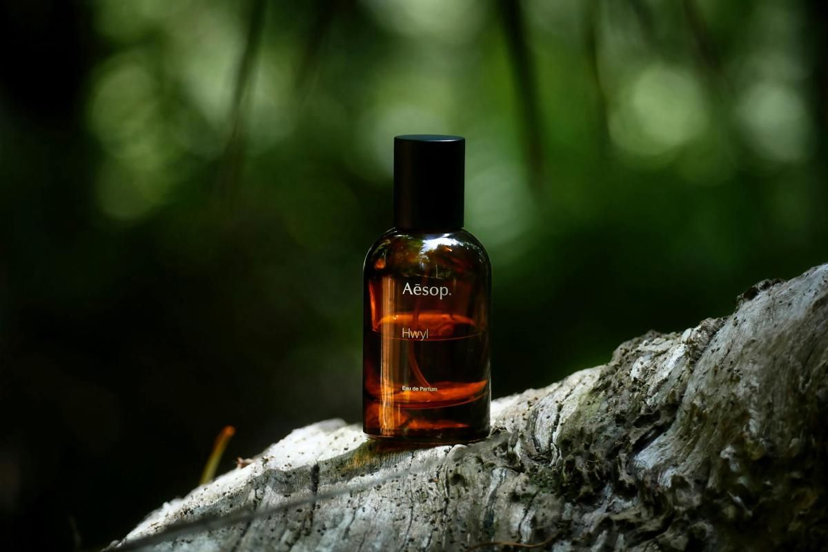 7 Notes Parfum dengan Aroma Earthy yang Menenangkan