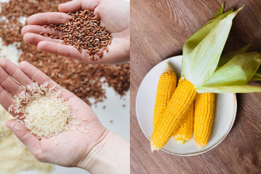 [QUIZ] Pilih Beras atau Jagung, Kamu Cocoknya Bikin Kreasi Makanan Ini