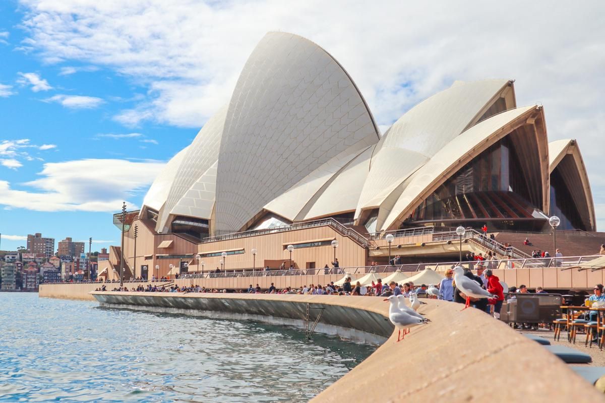 5 Fakta Australia, Benarkah Domba Lebih Banyak dari Manusia?