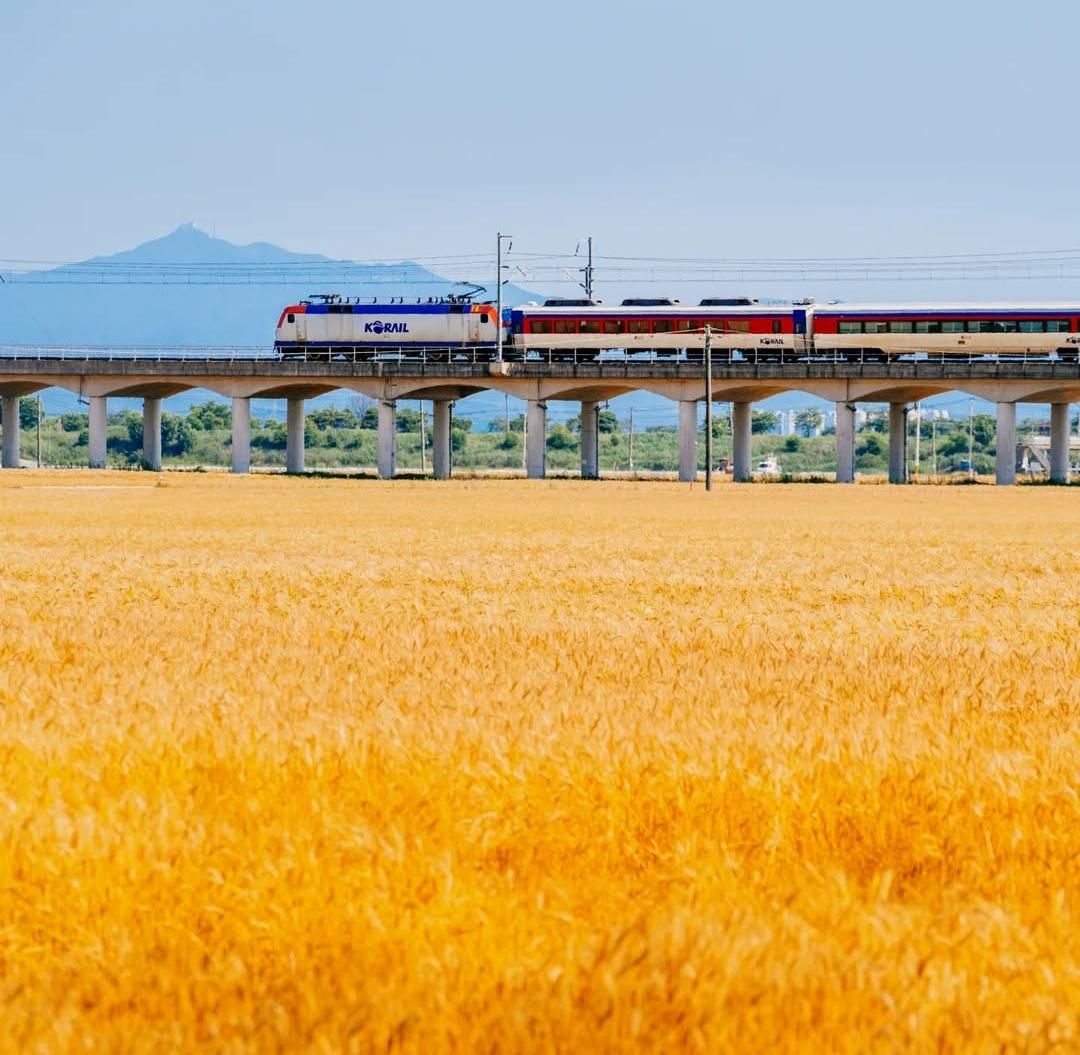 7 Transportasi Antar Kota untuk Traveling di Korea Selatan, Apa saja?