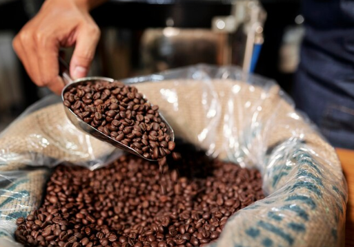 5 Karakteristik dan Rasa dari Kopi Robusta yang Unik, Bikin Nagih!