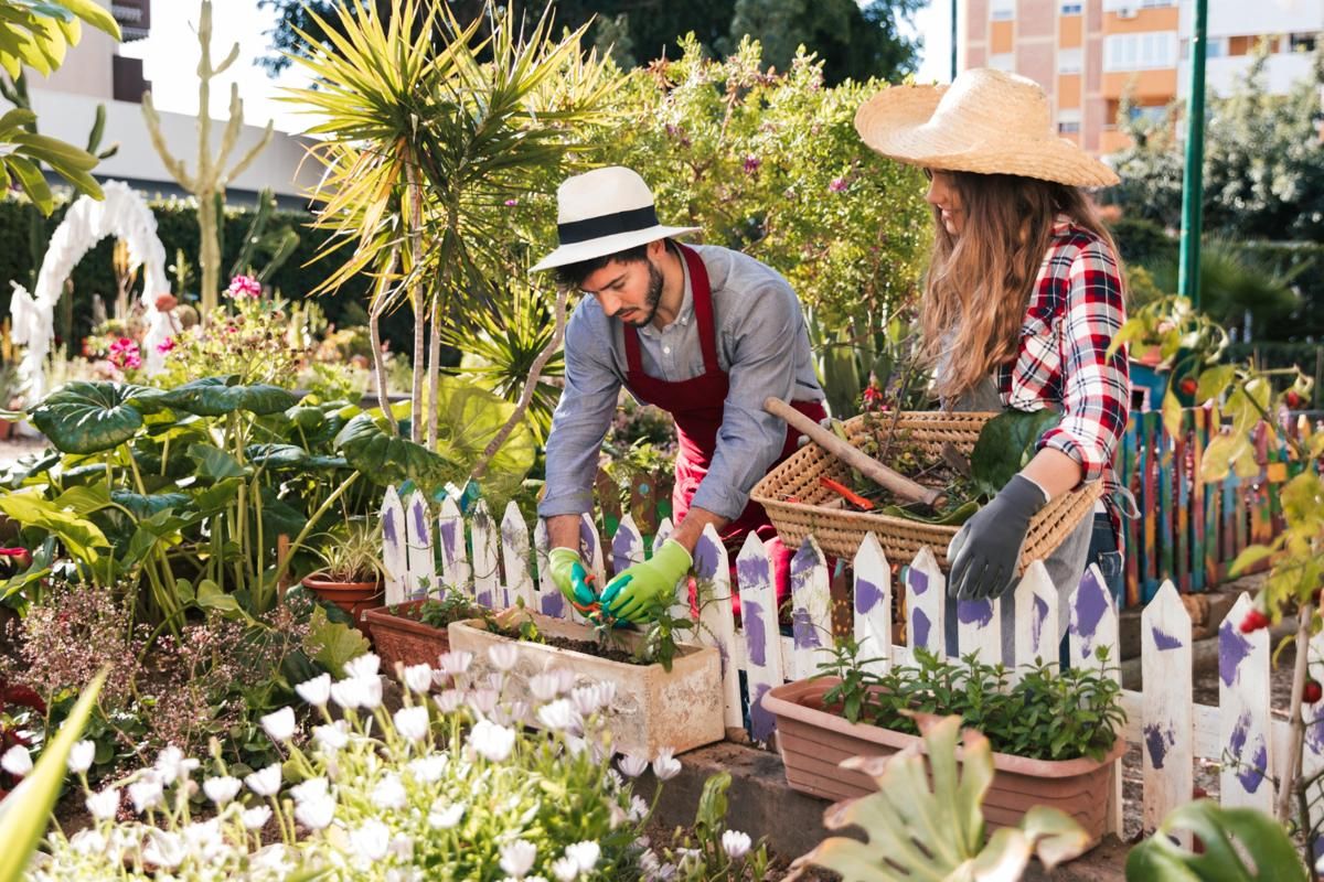 7 Tanaman Mini untuk Kamu yang Pengen Memulai Urban Gardening