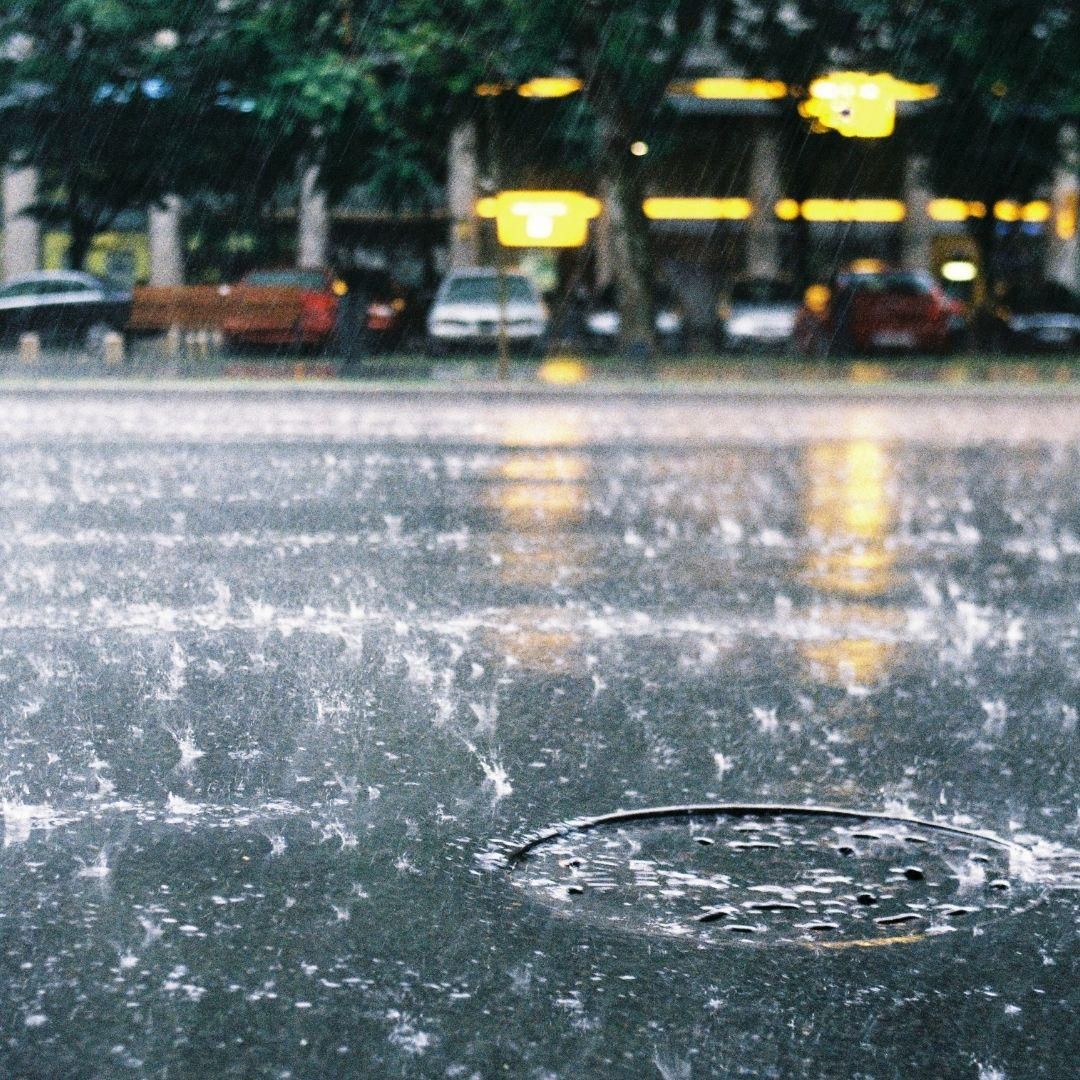 97.jpg