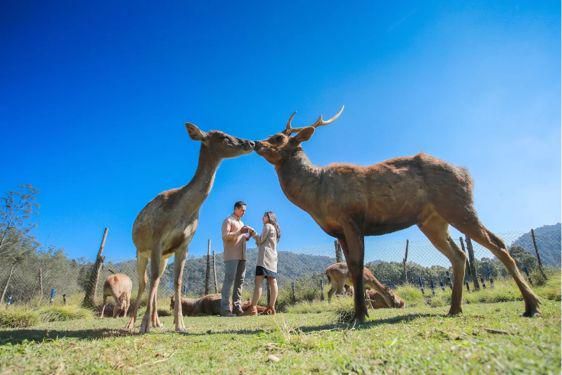 17 Tempat Wisata Alam Bandung Terdekat, Bikin Pikiran Fresh Lagi!