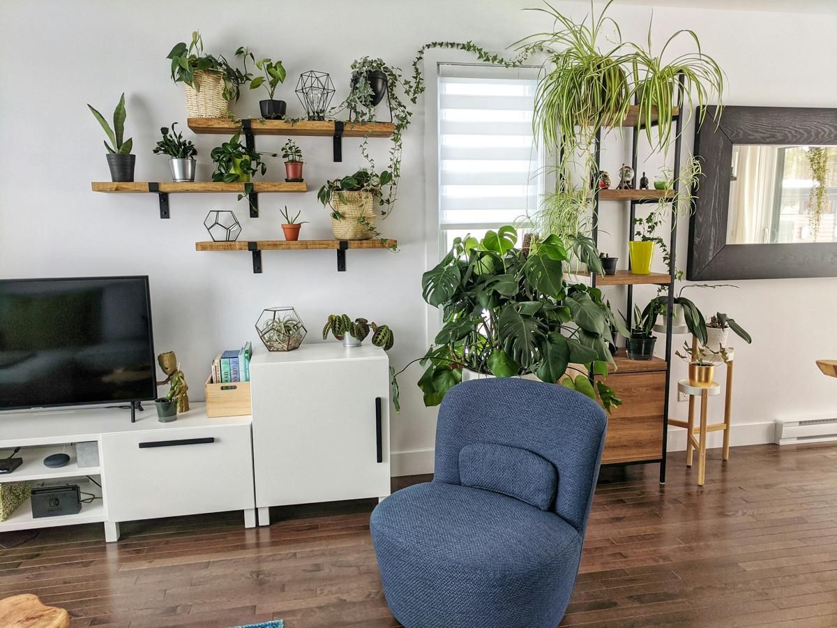 8 Tips Menata Tanaman Indoor di Apartemen Sempit, Biar Gak Sumpek!
