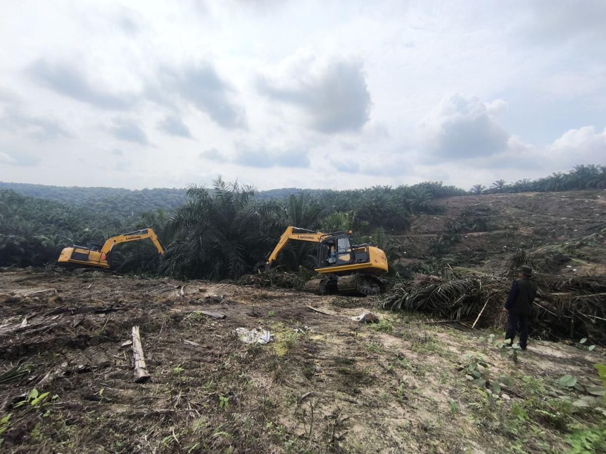 Anggota DPRD Serahkan 415 Hektare Lahan Sawit di TNTN Riau ke Negara