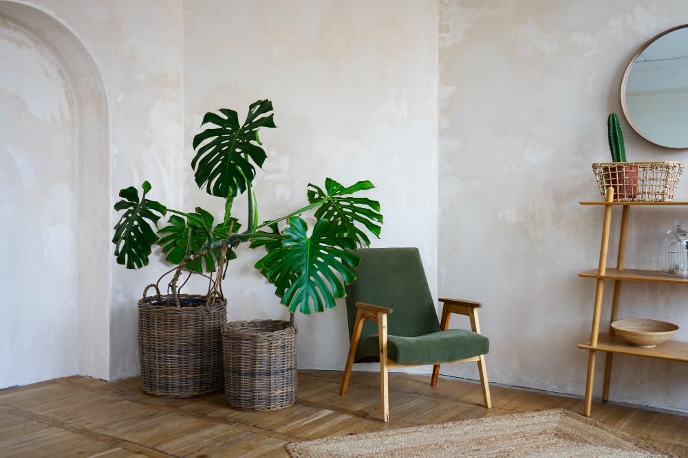 8 Tanaman Indoor yang Cocok untuk Hunian Bergaya Japandi, Estetik!