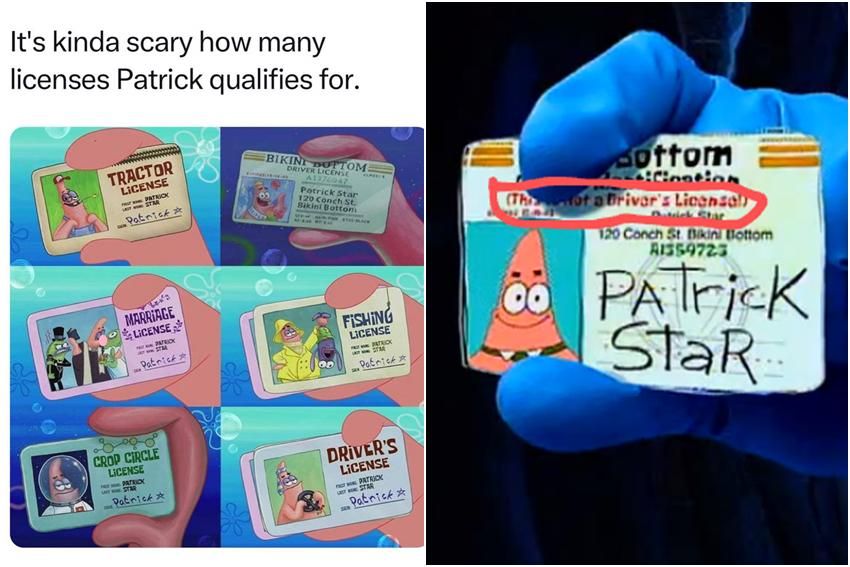 8 Meme SpongeBob tentang Surat Izin, Patrick Punya Banyak!