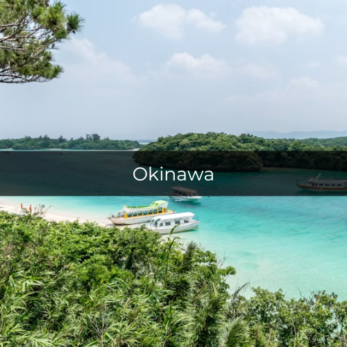Potret Ishigaki Island di Hirakubo, Ishigaki, Okinawa, Jepang (unsplash.com/haltakov)