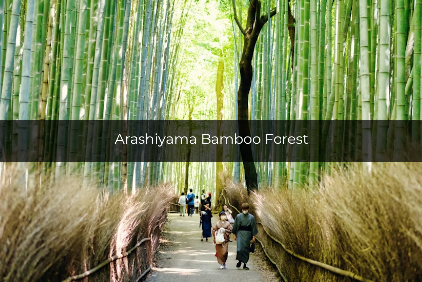 Potret Arashiyama Bamboo Forest di Jepang (unsplash.com/duonguyen)