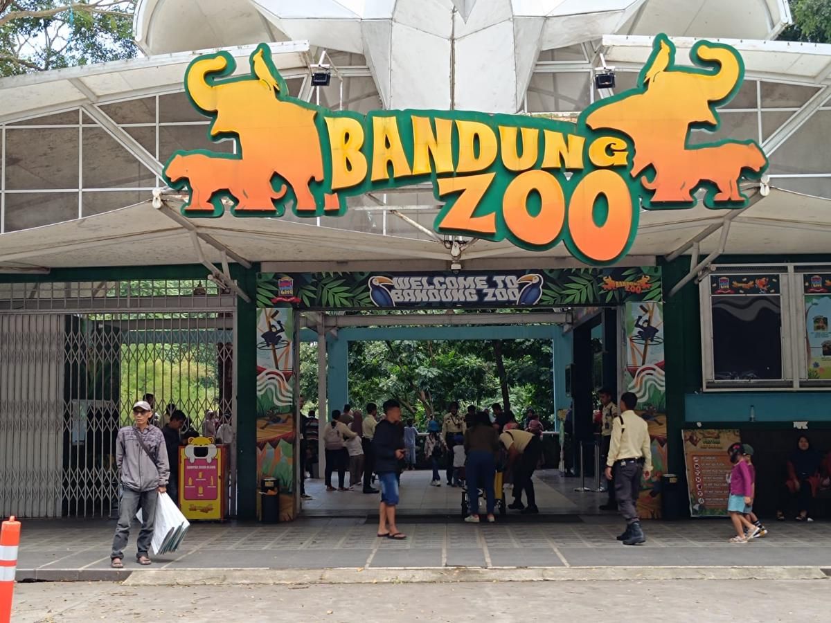 Harapan Warga Bandung agar Bandung Zoo Tetap Buka Meski Berkonflik