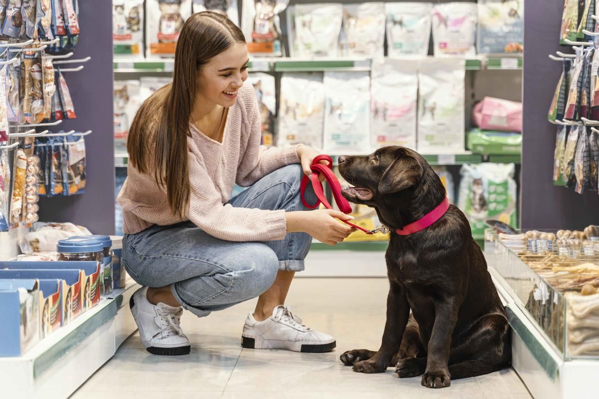 10 Pet Shop Terdekat di Jakarta Selatan, Ada yang Fasilitasnya Lengkap