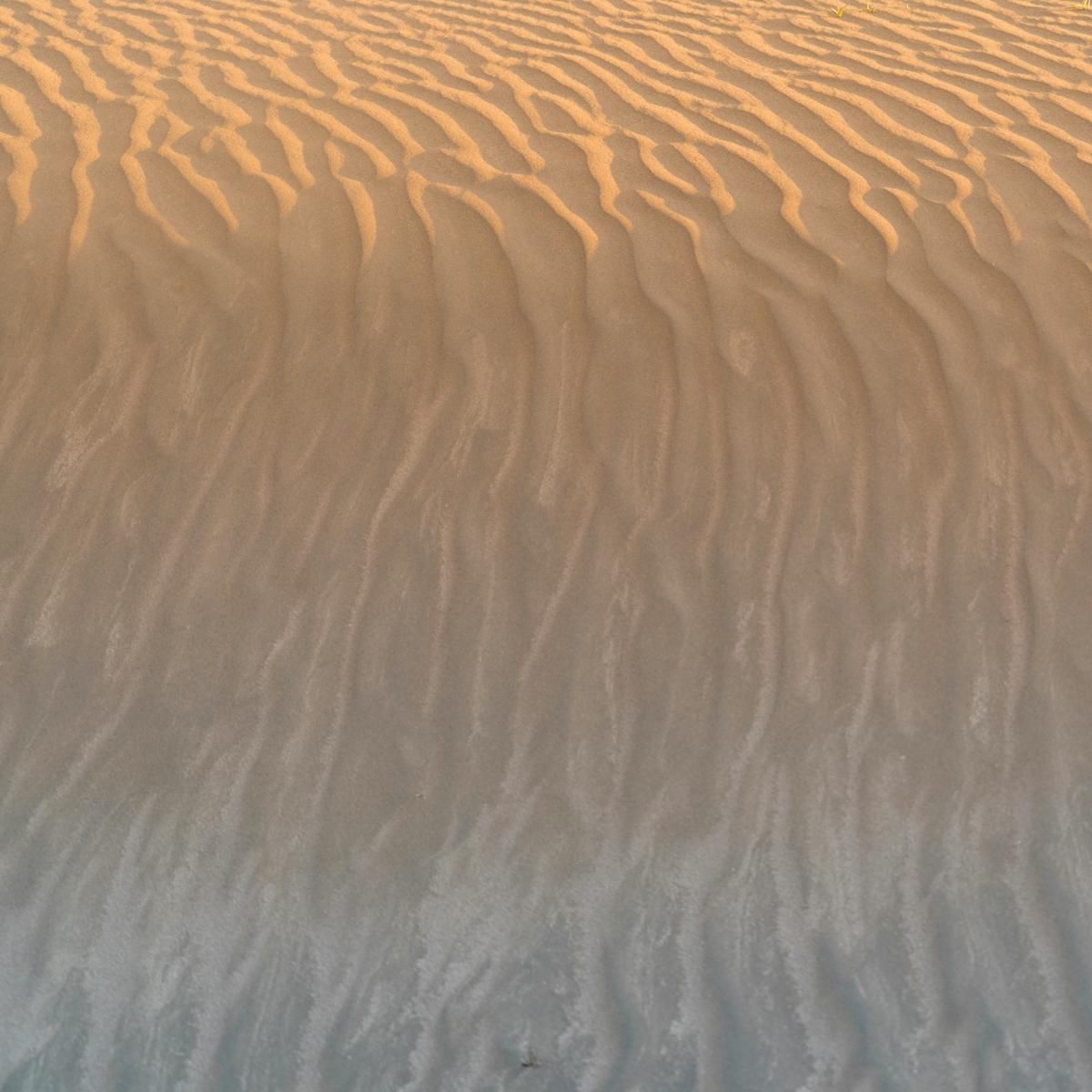 dan-meyers-SypLn1tM_gw-unsplash.jpg