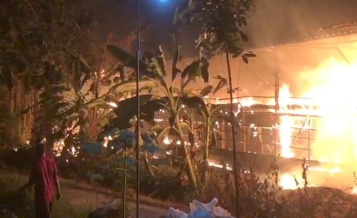Oven Meledak, 12 Ribu Ayam di Magetan Terbakar! Kerugian Rp500 Juta