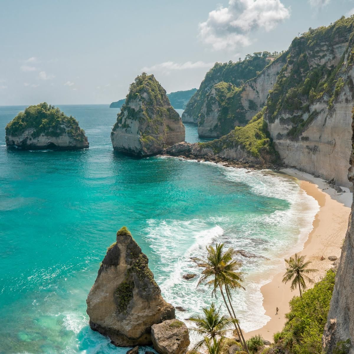 alfiano-sutianto-exFdOWkYBQw-unsplash.jpg
