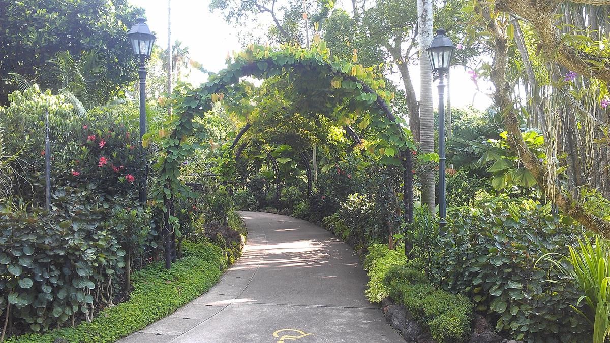Singapore Botanic Gardens: Lokasi, Rute, Jam Buka, HTM, dan Tips