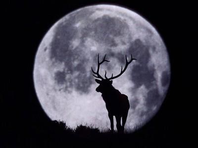5 Mitos Buck Moon yang Masih Banyak Dipercaya, Cek Faktanya!