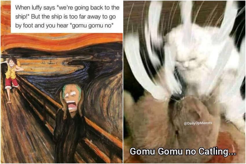 8 Meme Gomu Gomu no Mi, Buah Iblis Monkey D Luffy One Piece