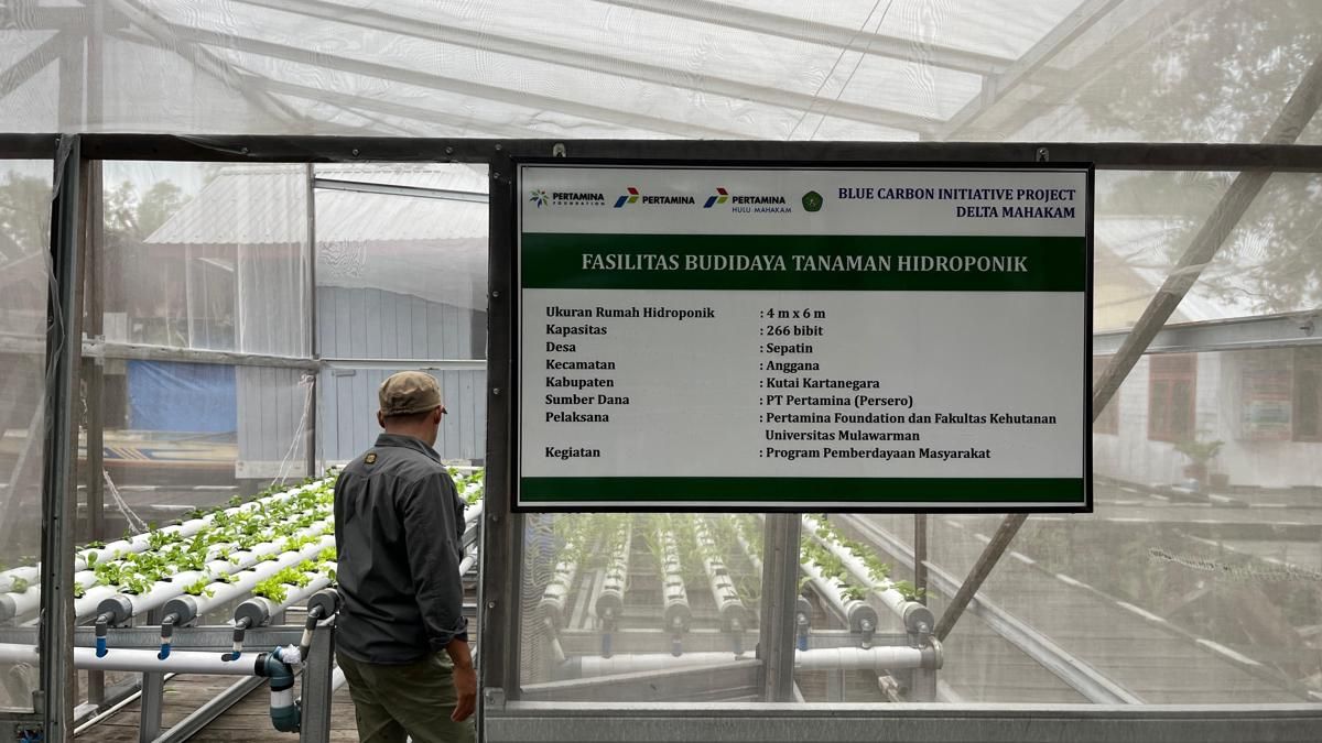 Program Hutan Lestari, Komitmen Pertamina Foundation Menjaga Lingkungan