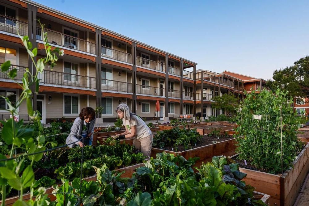 Flat Pertama Ada di Menteng, Co-Housing Jadi Solusi Perumahan Modern?