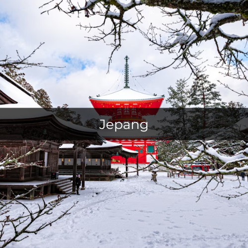 Potret suasana musim dingin di Jepang (unsplash.com/saaam_chan)