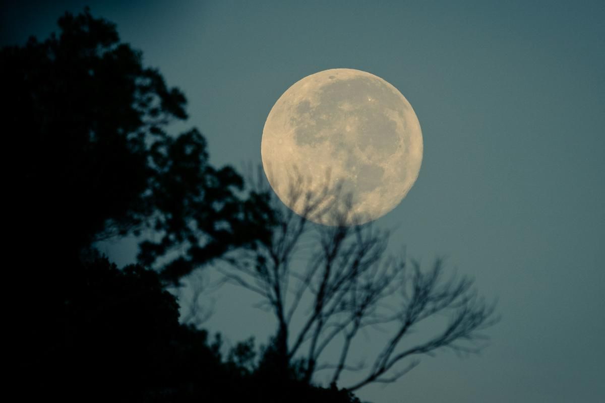 3 Dampak Buck Moon terhadap Bumi dan Makhluk Hidup, Siap-siap!