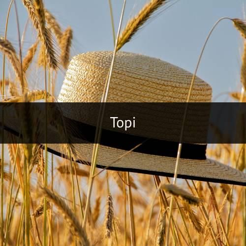topi (pixabay.com)