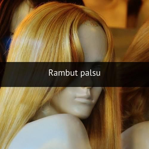 wig (pixabay.com)