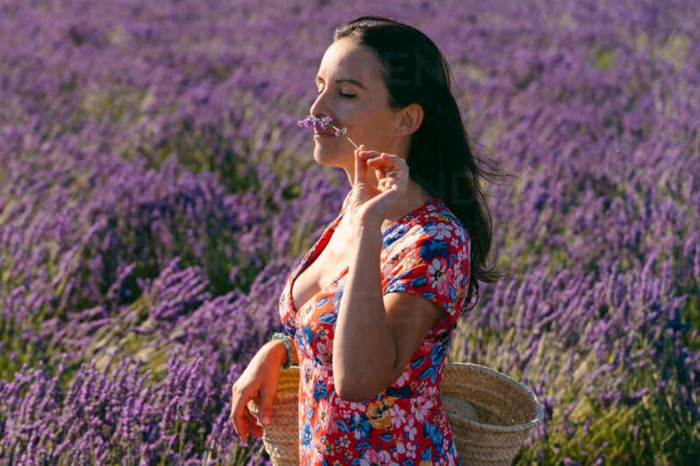 Rekomendasi Parfum Wanita Aroma Lavender yang Menenangan dan Elegan 