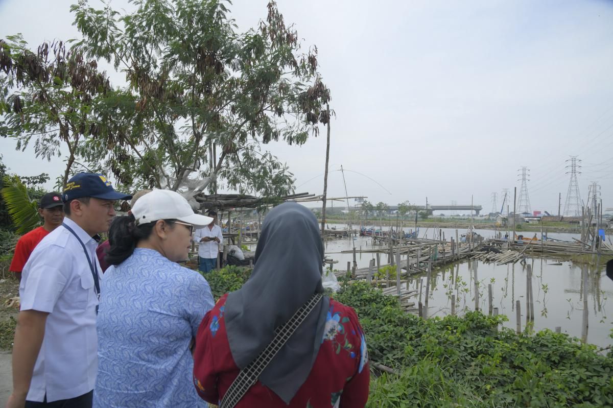 Semarang Siapkan Ekowisata Mangrove di Kawasan Tambakrejo, Mau ke Sana?