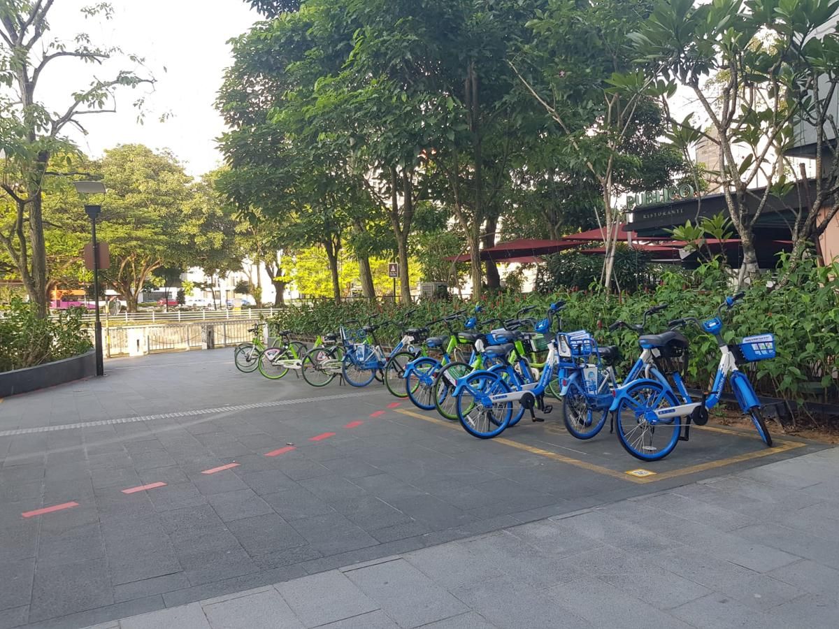 Bersepeda di Singapura: Paduan Suasana Kota dan Taman Hijau